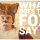 The Fox (What does the Fox say?) – Ylvis